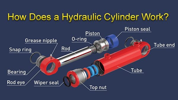 Hydraulic cylinder components demonstrating the conversion of fluid pressure into mechanical force.